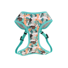 Coastal Pet Products Ribbon Designer Wrap Adjustable Dog Harness- Teal Sketched Abstract