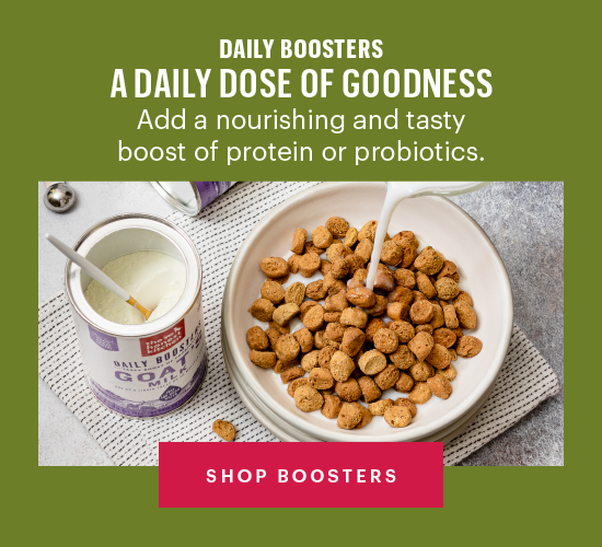 Daily Boosters