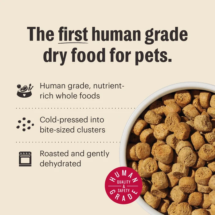 The Honest Kitchen Grain Free Lamb & Superfoods Whole Food Clusters Dry Dog Food