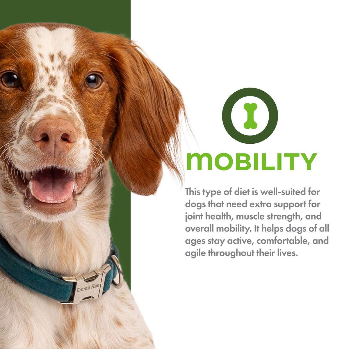 Fromm Nutritionals Mobility Chicken & Whole Oats Recipe Complete Dry Dog Food