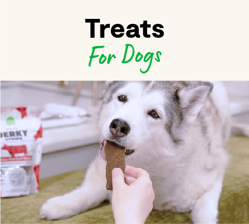 Dog Treats