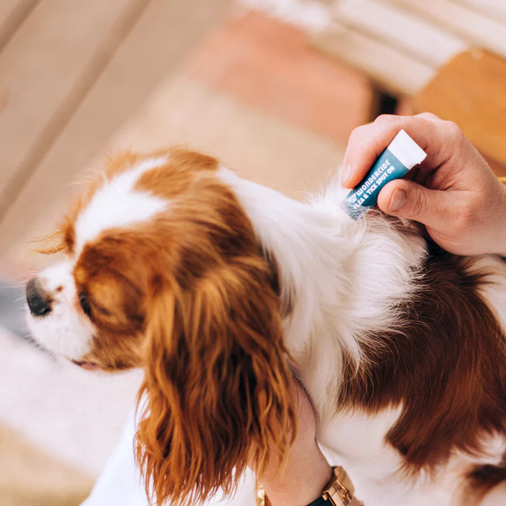 Wondercide Flea & Tick Spot On for Dogs with Natural Essential Oils