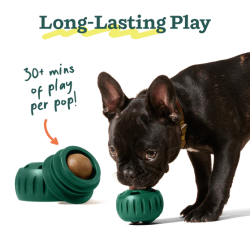 Woof Pupsicle Pops Refills Peanut Butter & Beef Recipe Lickable Dog Treats